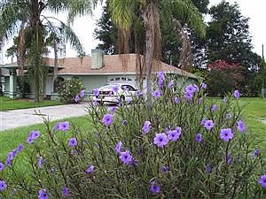 1st image of 925 Tangelo Cir