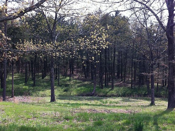 view from back porch