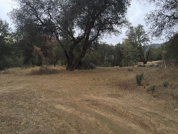 2nd image of 5 Acre Parcel Glenn Baker Road