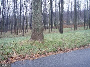 2nd image of 29 Forest Trl