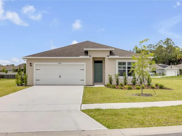 2250 Lake Preserve Cir, New Smyrna Beach, FL 32168
