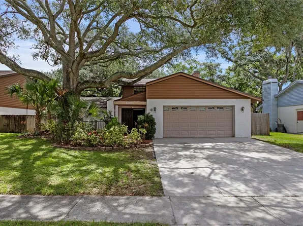 12603 Rain Forest St, Temple Terrace, FL 33617