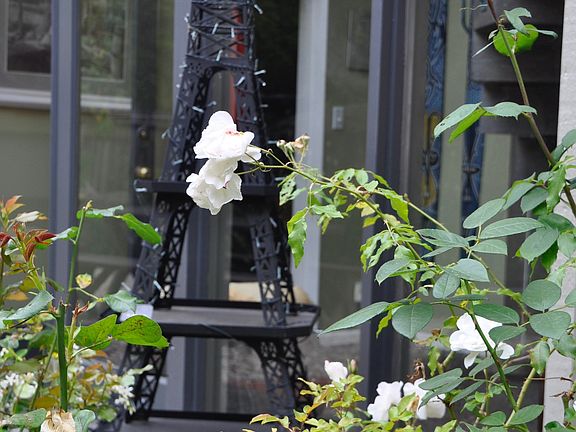 Entire 1/2 acre + beautiful landscaped