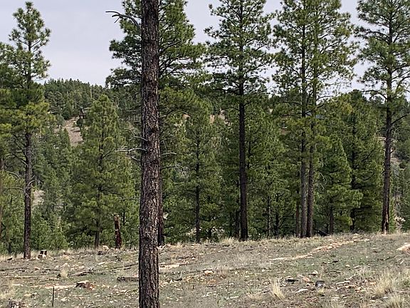 5th image of 1270 Moqui Dr
