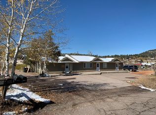 9767 Rhodus St, Conifer, CO 80433