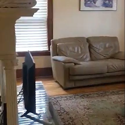 2nd image of 38 Linden St #25B