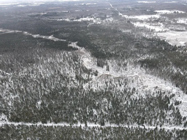 0VL N County Line Rd, Farwell, MI 48622