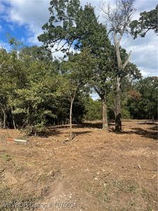 S Molly Brown Mountain Rd, Cookson, OK, 74427
