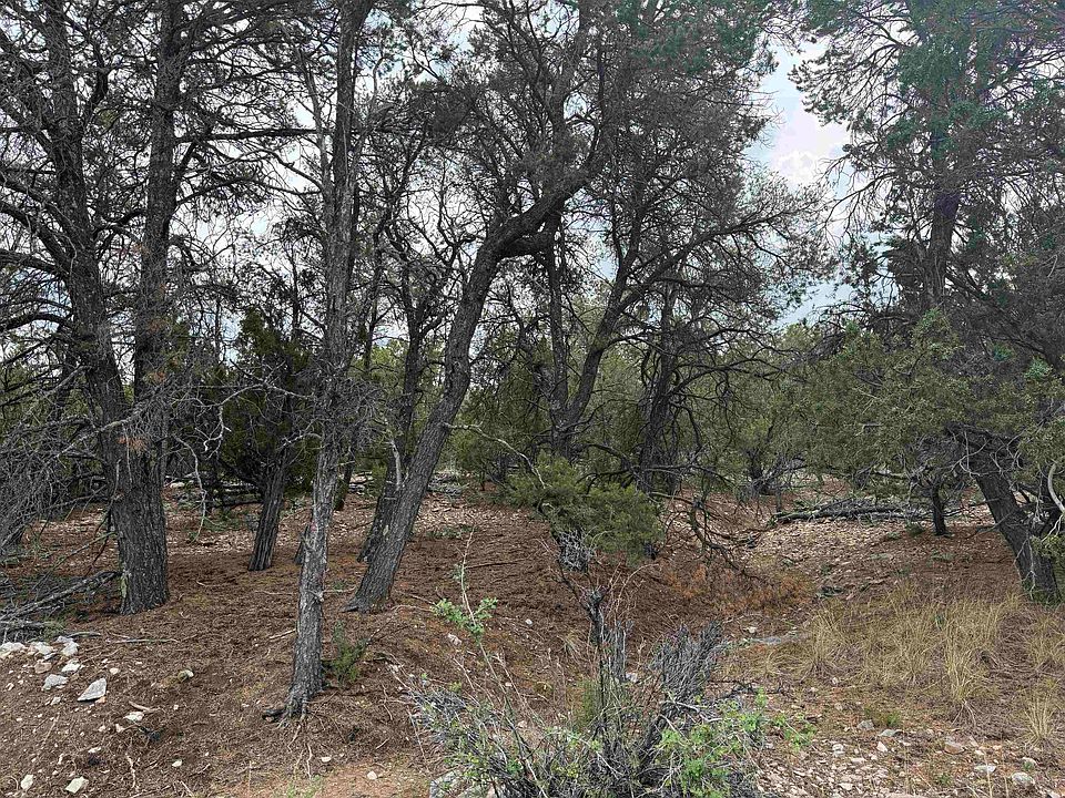2nd image of 66 Mogollon Trl