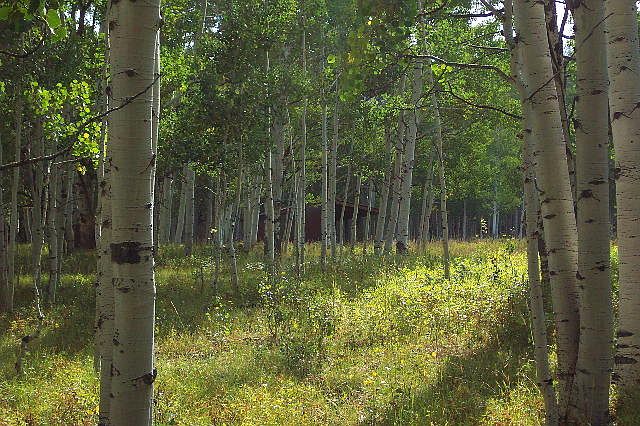 1st image of Tbd Elk Dr