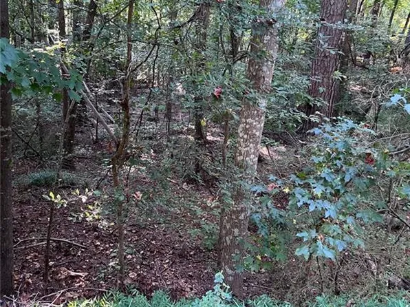 0 Oak Leaf Dr #2, Stockbridge, GA 30281