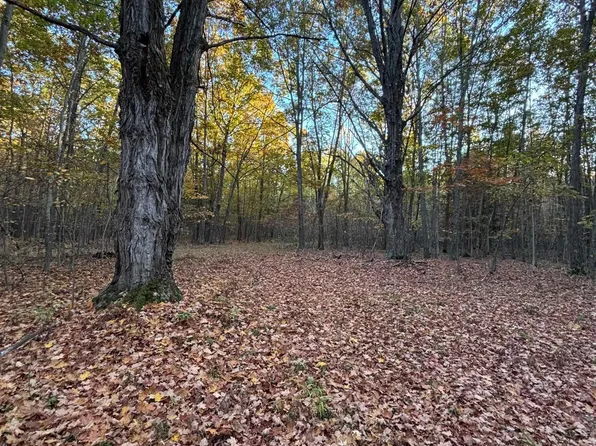 10000 E Pickard Rd, Mount Pleasant, MI 48858