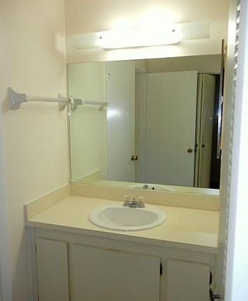 5th image of 250 Palmetto Ct