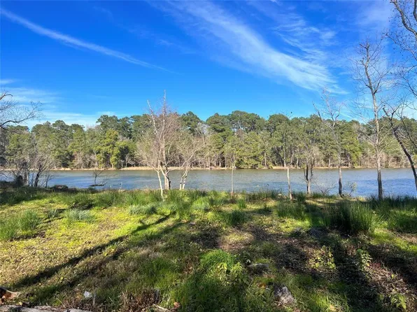 20247 Lakelane Dr W Lot 43, Humble, TX 77338