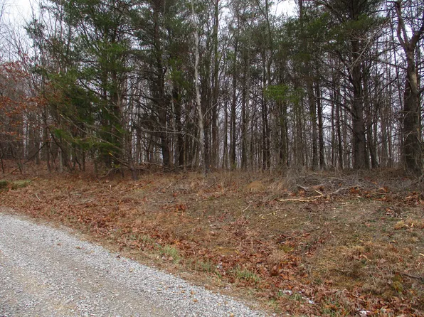 3 Briley Rd #3, Spring City, TN 37381