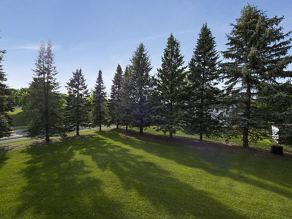 Great view of the trees.