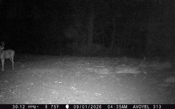 4th image of 0 Beauregard Rd