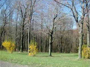 2419 Skyline Dr, Marion Center, PA 15759