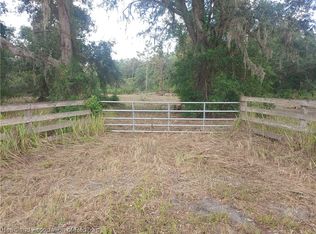 2684 Steve Roberts Special, Zolfo Springs, FL 33890