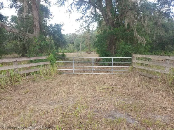 2684 Steve Roberts Special, Zolfo Springs, FL 33890