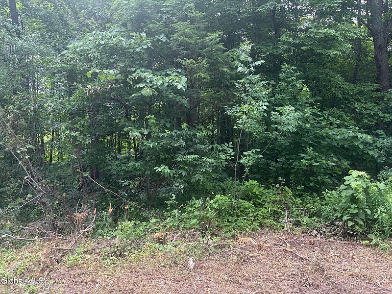 5th image of L1.022 Delaware