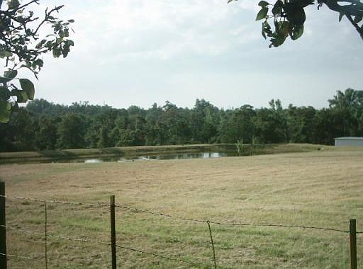 3rd image of Cactus Drive & Pond Lot Unplatd