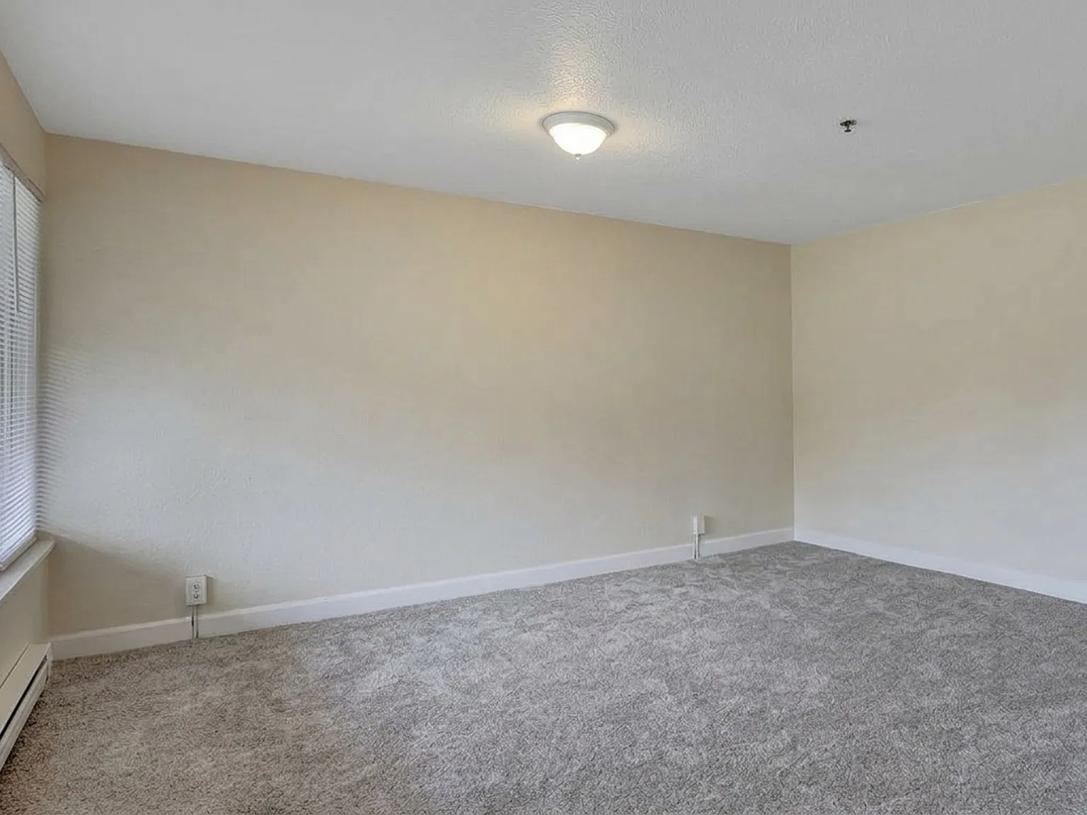 2 bed, 710 sqft, $1,600 — Photo 4