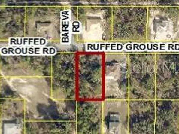 13364 RUFFED GROUSE ROAD LOT 9, WEEKI WACHEE, FL 34614