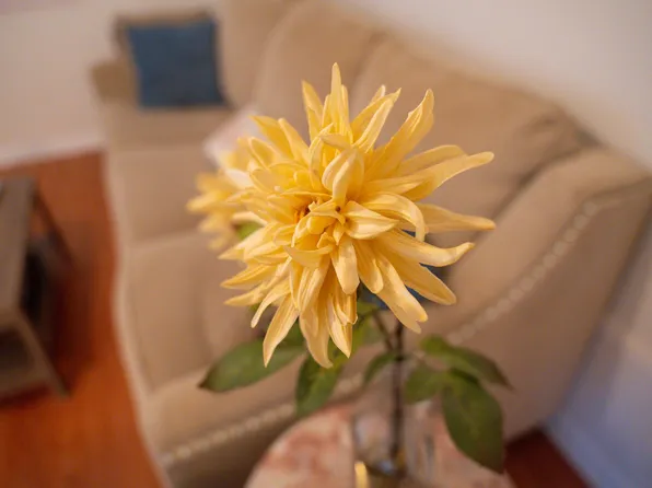 201 S College Rd APT 209, Lafayette, LA 70503