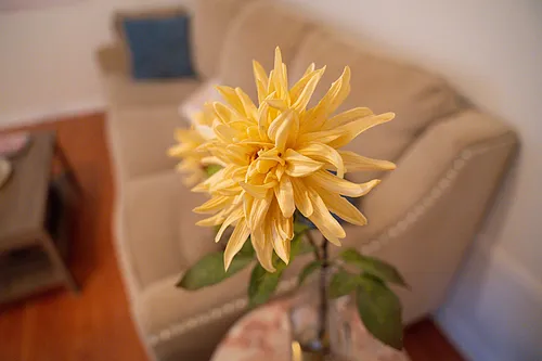 201 S College Rd #209 Photo 1