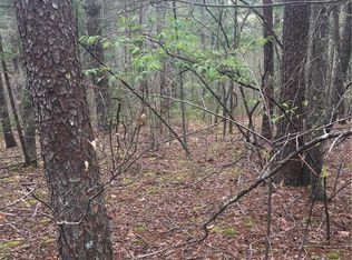 21 Comfrey Ln, Weaverville, NC 28787