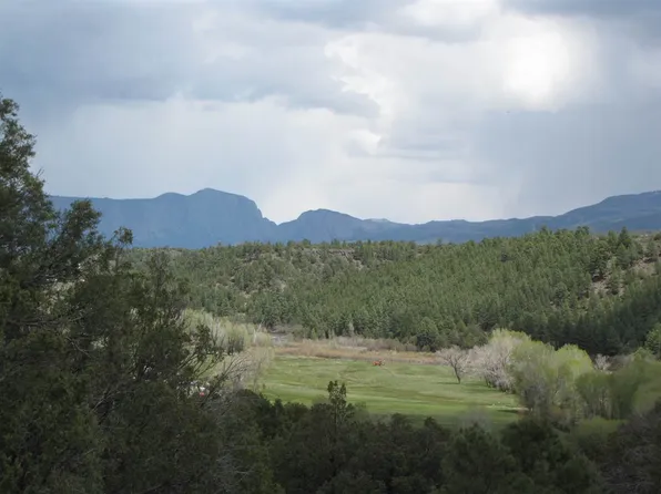 0 Sigler Tract, Los Ojos, NM 87551