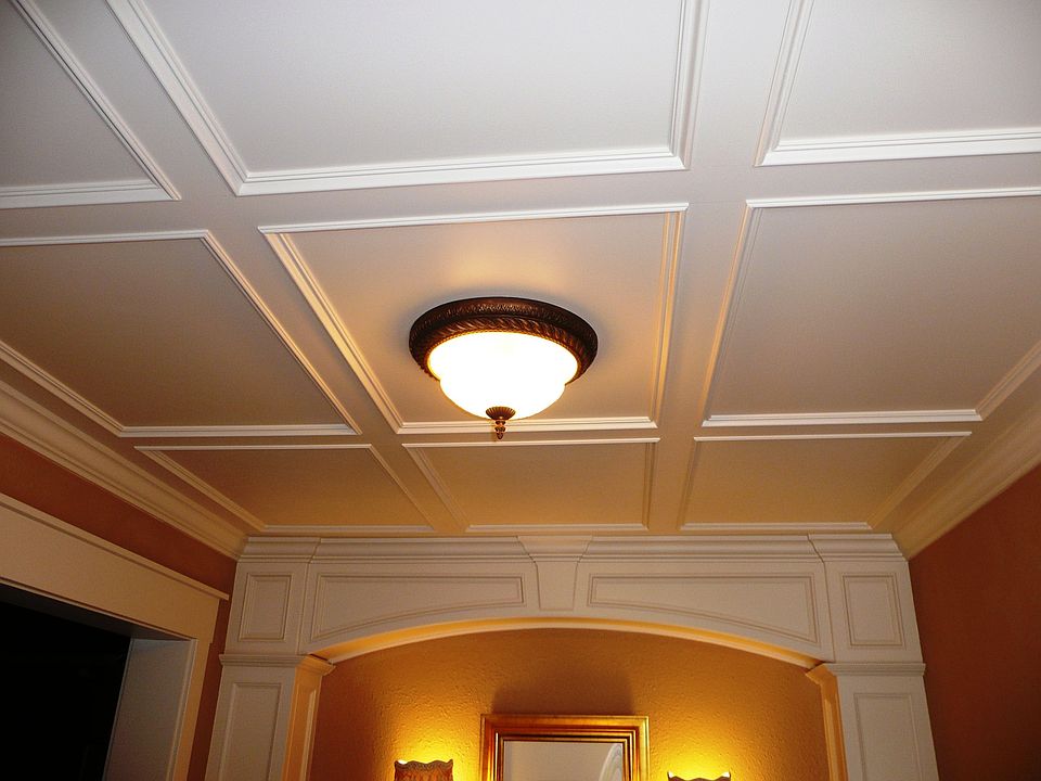 Wood Panel Ceiling