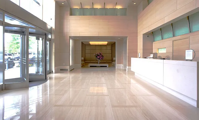 Rented by Nest Seekers International | media 11