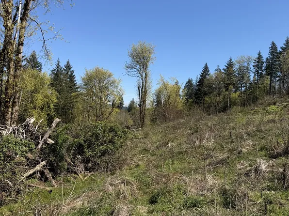 NW Hilltop Pl, Banks, OR 97106