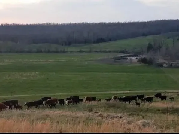 State Route 142, West Plains, MO 65775