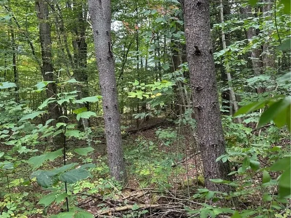 Sullivan Hollow Rd #18, Great Valley, NY 14741