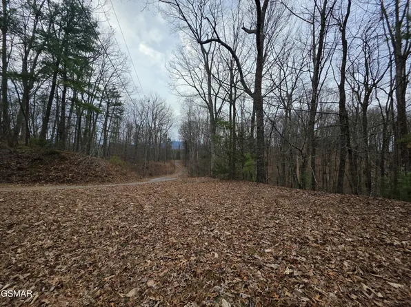 LOT 4 Deer Ridge Ln, Sevierville, TN 37876