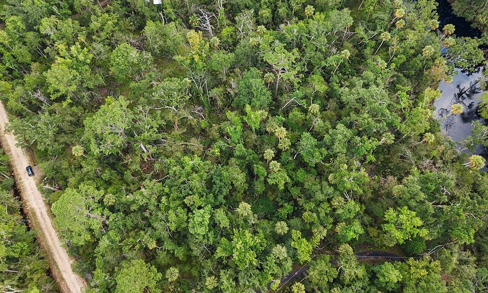 ☪︎ 園 2338 NE Ancient Oaks Dr, Steinhatchee, FL 32359 | MLS #795264 | Zillow