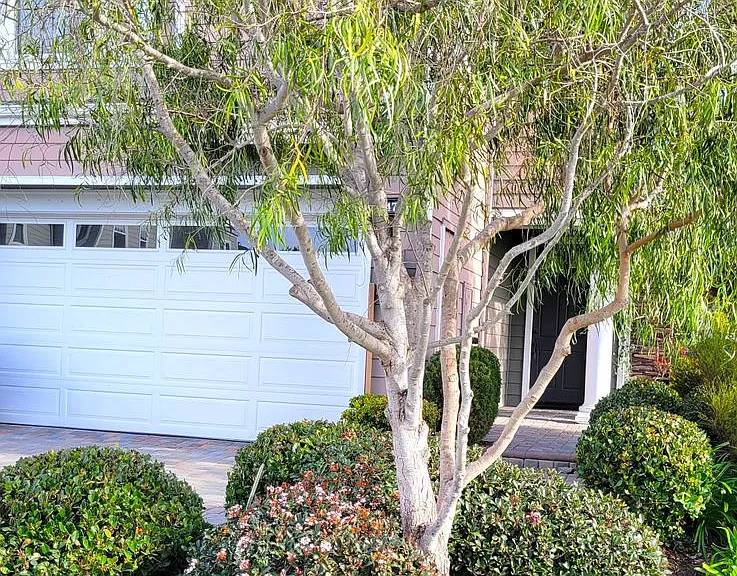 4755 Beachwood Ct — Photo 3