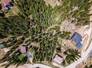 319 Lee Ln, Breckenridge, CO 80424