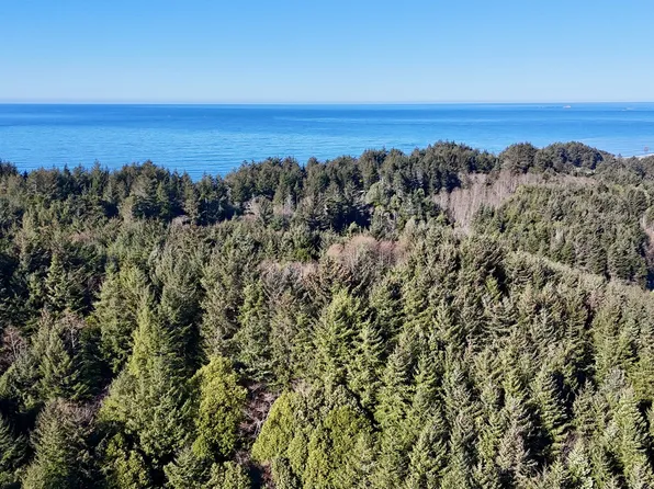 Mill Stream Rd, Gold Beach, OR 97444