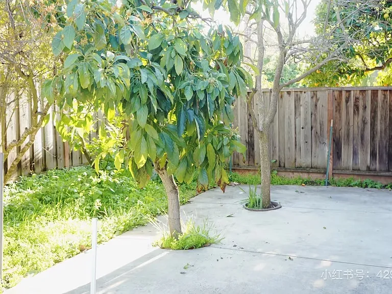2436 Ramke Pl — Photo 5