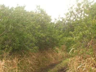 LOT Forty, Naalehu, HI, 96772