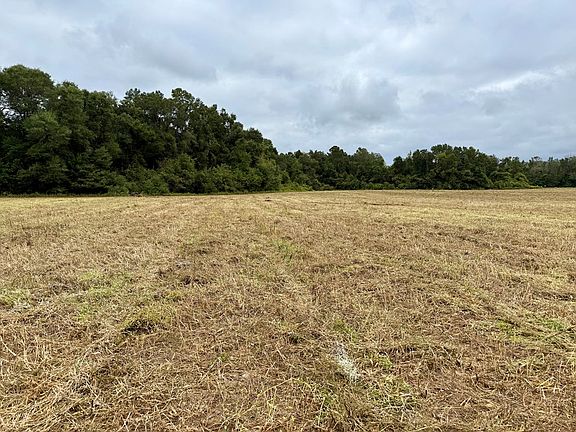 3rd image of 49/ACRE S Mount Zion Rd