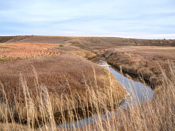 3rd image of 1905 10th St NW