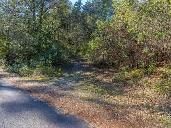 Toyon Rd, Pine Grove, CA 95665