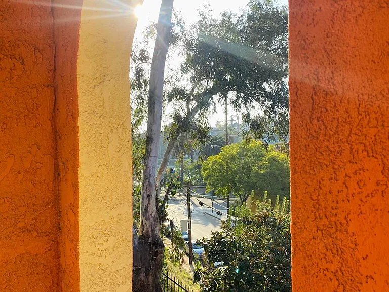 830 Laguna Ave — Photo 28