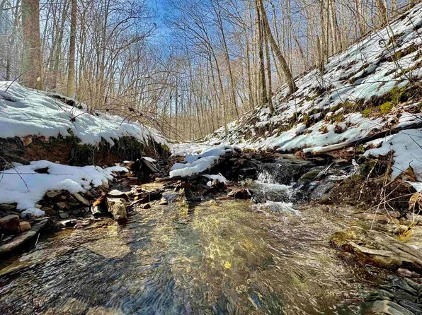 McAtee Dr, Huttonsville, WV 26273