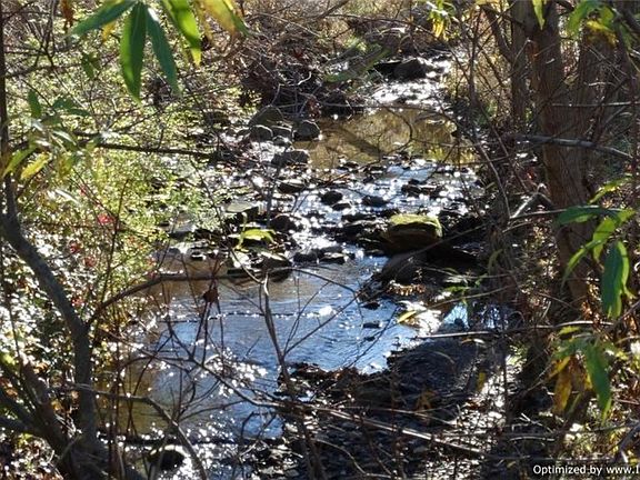 5th image of 11971 Wintergreen Dr